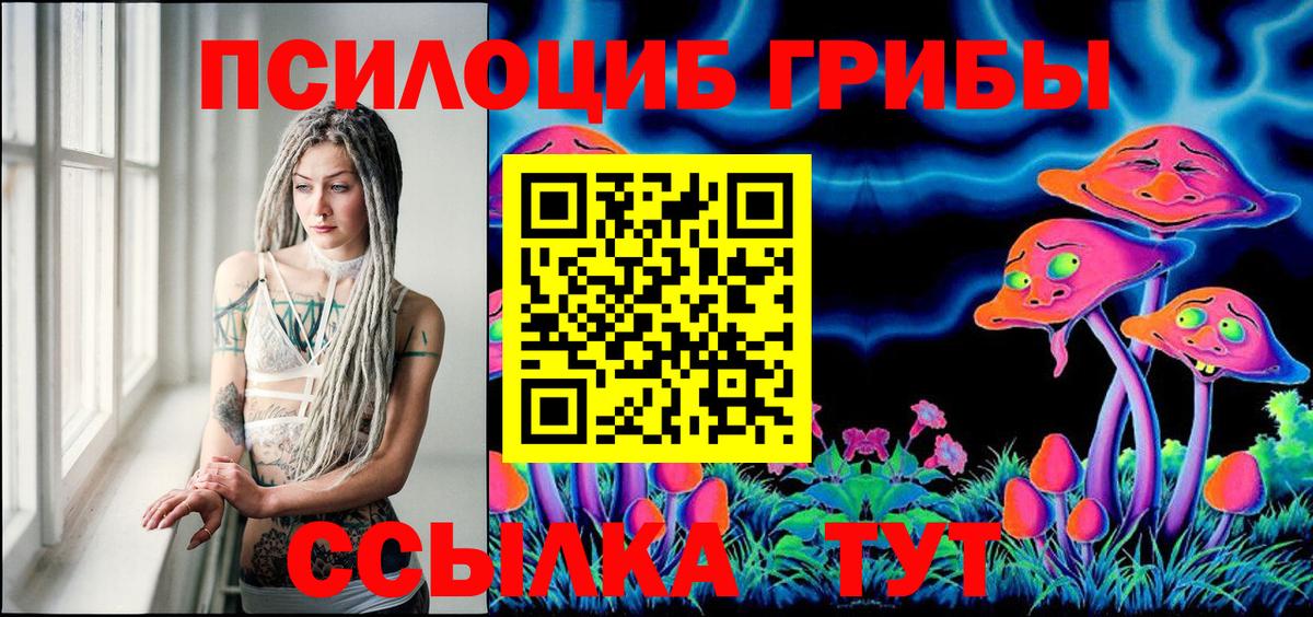 Галлюциногенные грибы мицелий  Пыть-Ях  Псилоцибиновые грибы мицелий 