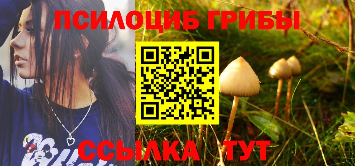 Пыть-Ях  Псилоцибиновые грибы прущие грибы  Вход с VPN 